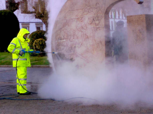 Best Fence Pressure Washing  in Machesney Park, IL